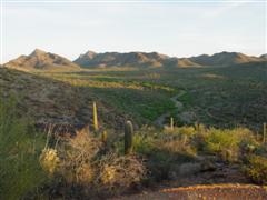 A photo of Tucson Mountain Park at sunset